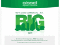biggreen-commercial.com
