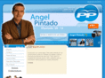 angelpintado.es