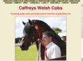caffreysstud.com