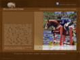millenniumfarm.com