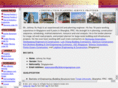 p3planningengineer.com