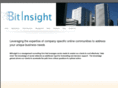 bitinsight.com