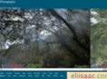eliisaac.com