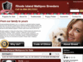 rhodeislandmaltipoobreeders.com
