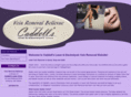 veinremovalbellevue.com