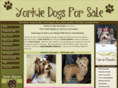 yorkiedogsforsale.com