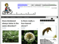 bicycle2011.com