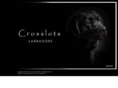 crosslotslabradors.com