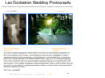 proweddingphotographer.biz