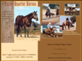 daileyquarterhorses.com