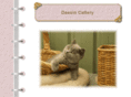 dassincatz.com