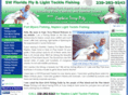 flyfishingswfl.com