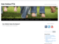 oakhollowpta.com