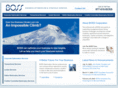 thebosscorp.com