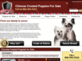 chinesecrestedpuppiesforsale.net