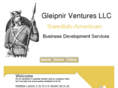 gleipnirventures.com