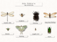 johnhobbie.com