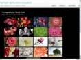 photoartgreetings.com