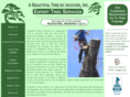 abeautifultreebyjackson.com