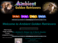 ambientgoldens.com