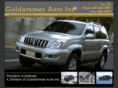 goldammerauto.com