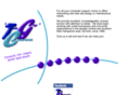 tcgnh.net