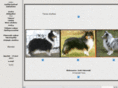 tiaras-shelties.com