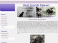 bestfriendsforeverrescue.com