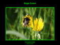 bugsgreen.com