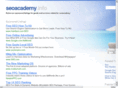 seoacademy.info