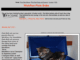 wickrun.com