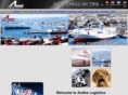 andeslogistics.net