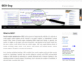 seo-guy.net