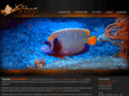 xtreme-marine.com
