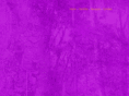 agenciafleur.com