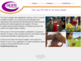 thehopecharity.org