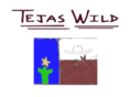 tejaswild.com