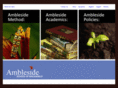 amblesidesanangelo.com