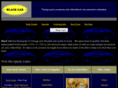 blackcar-llc.com