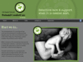 comfortcaretampa.com