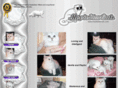 moviestarcats.com