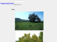 prettygoodtrees.com