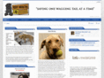 rockymountainlabrescue.com