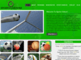 sportsculture.net