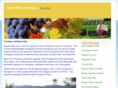 accommodationtuscany.info