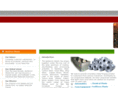 aesteiron.com