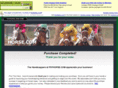 psyhandic.com