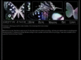 featherandbrush.com