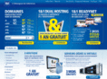 inflatables-balloons-advertising.com