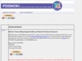 pdsnoki.org